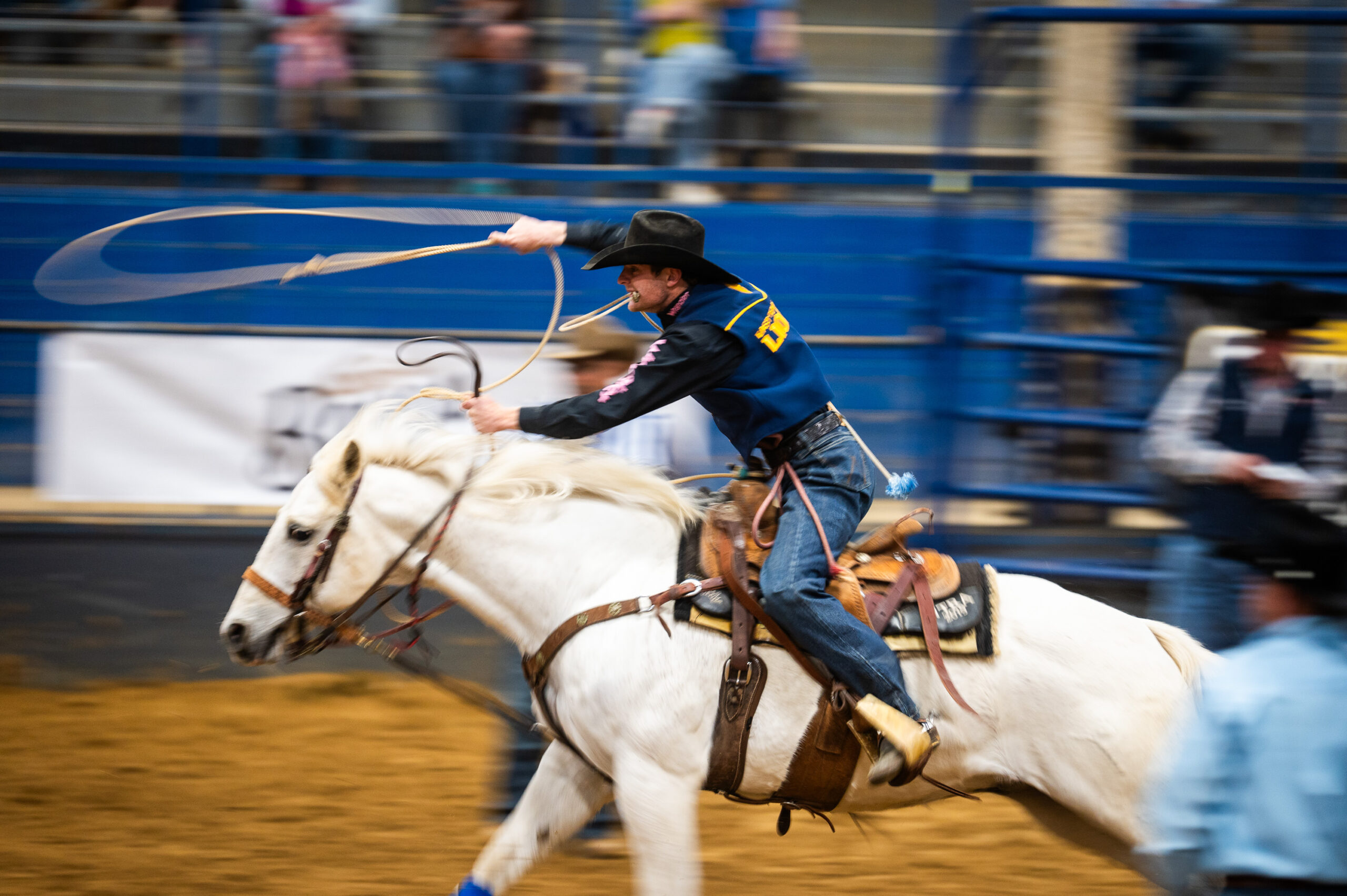 Cowboy Riding a Horse with a lasso at The Spur Expo